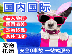 乌鲁木齐航空快递国际宠物托运 【国